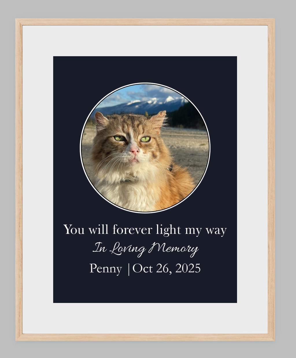 You Will Forever Light My Way Memorial Tribute