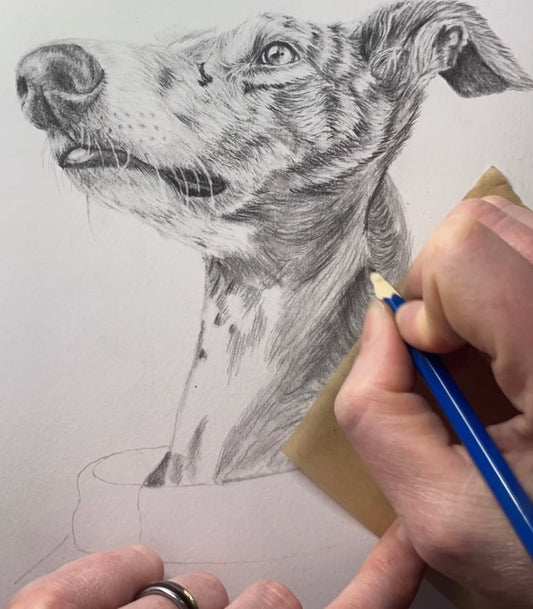 The Hidden Weight of Veterinary Medicine