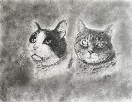 The Loud Silence: Surviving the Shock of Sudden Pet Loss