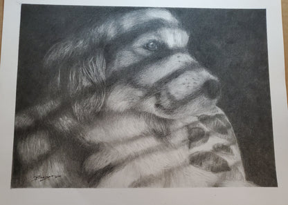 Hand Drawn Pet Portraits 9x12"