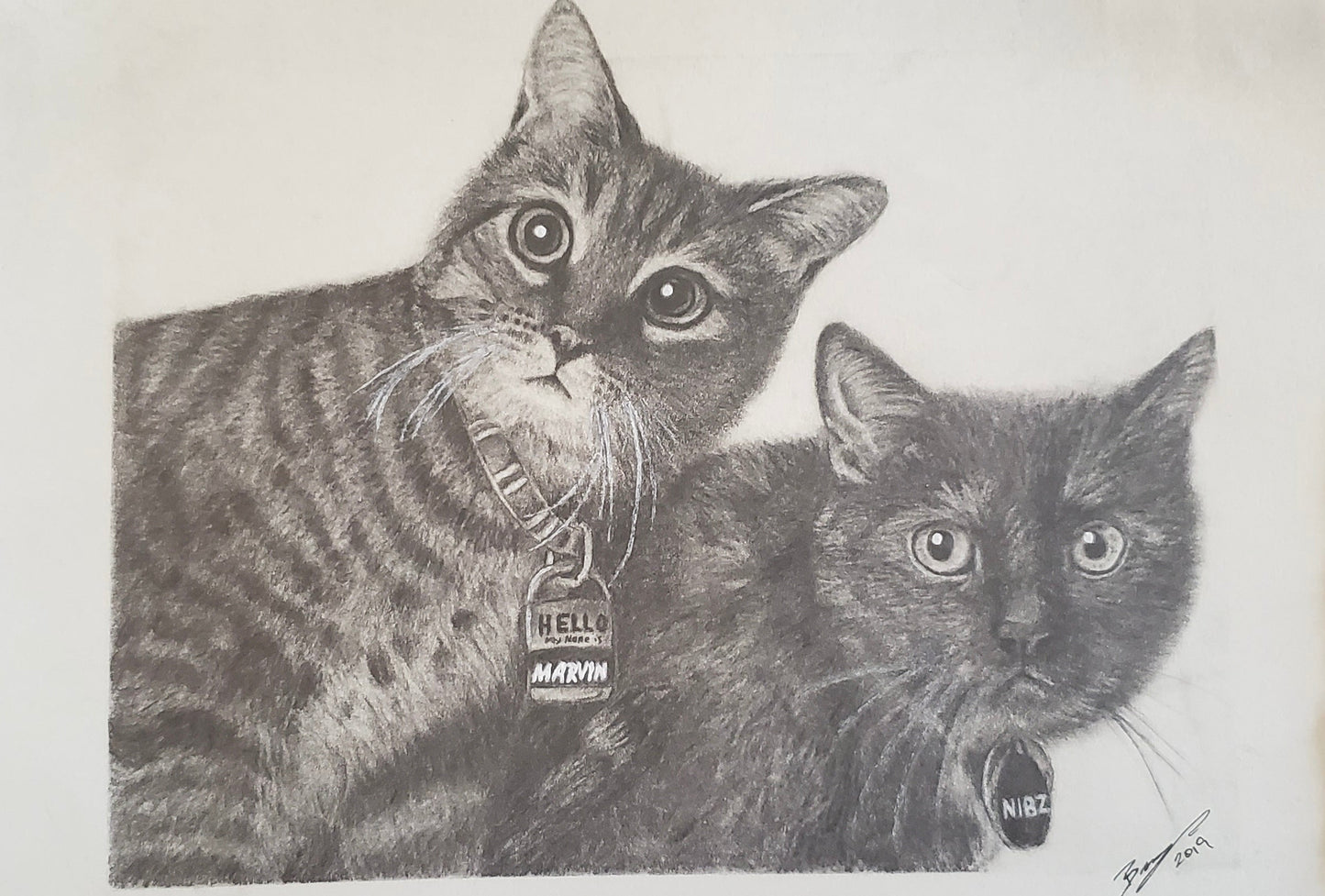 Hand Drawn Pet Portraits 9x12"