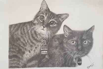 Hand Drawn Pet Portraits 9x12"