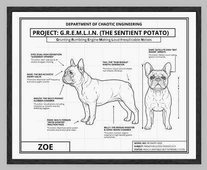 The Personalized Frenchie Blueprint