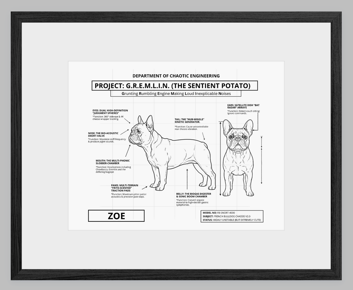 The Personalized Frenchie Blueprint