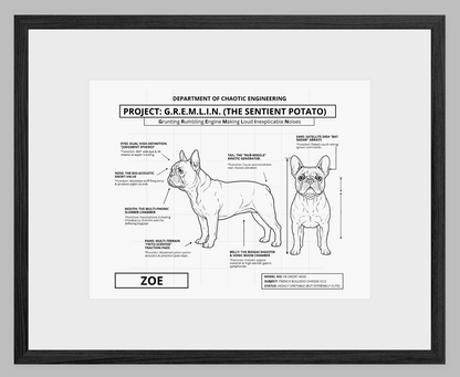 The Personalized Frenchie Blueprint