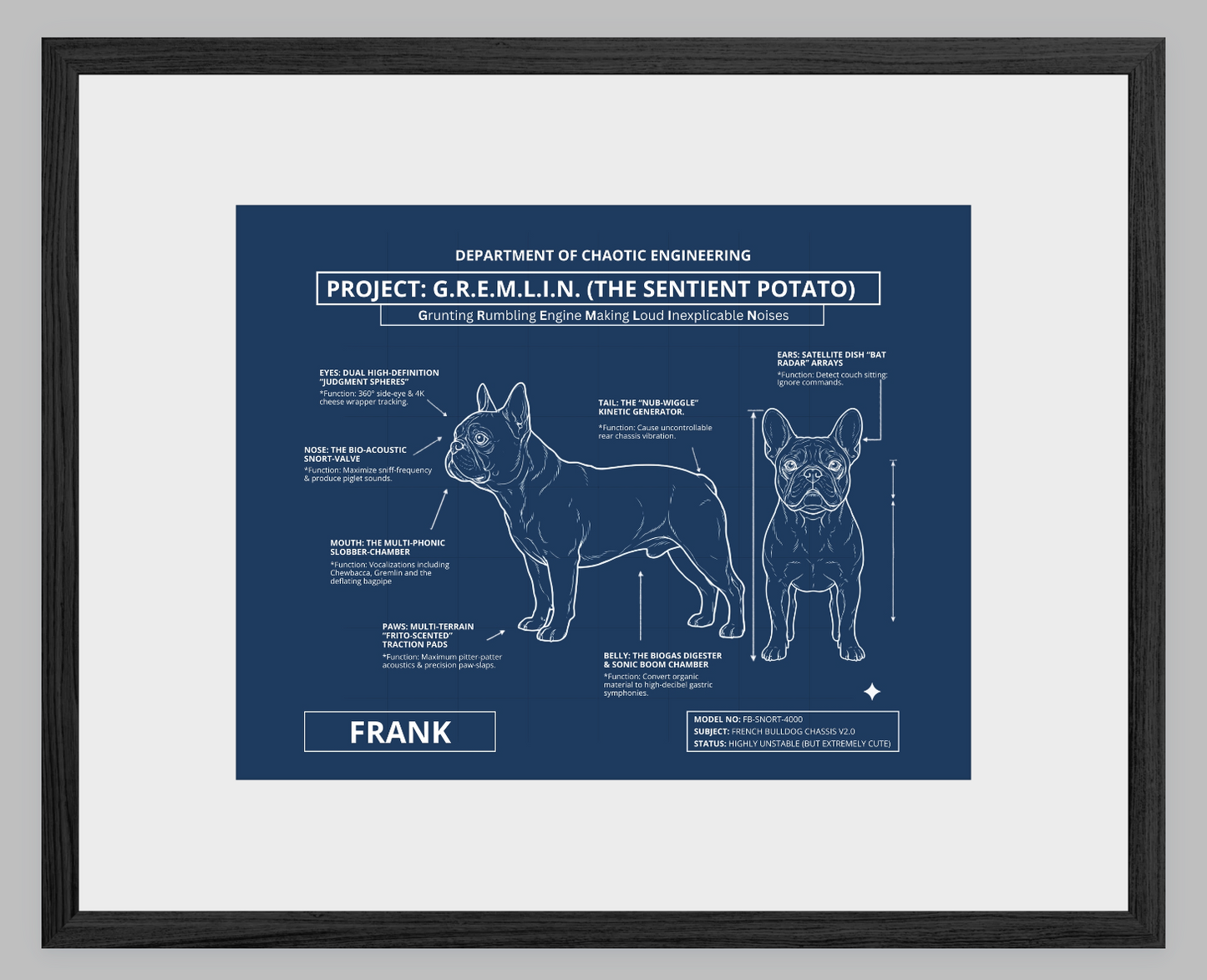 The Personalized Frenchie Blueprint
