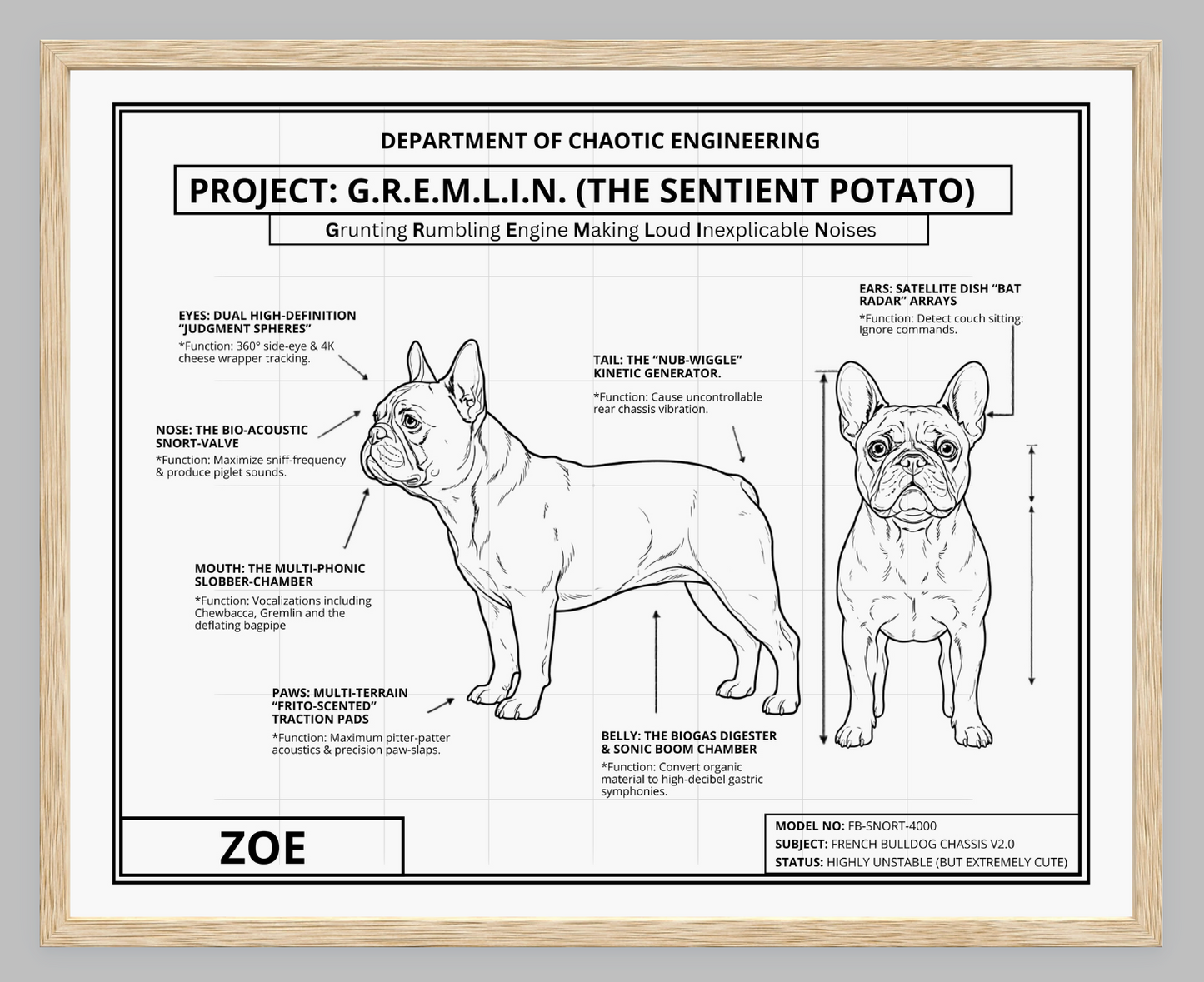 The Personalized Frenchie Blueprint