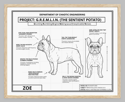 The Personalized Frenchie Blueprint