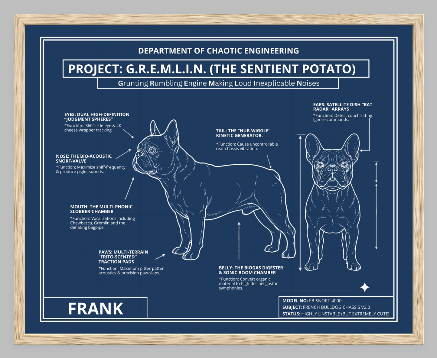 The Personalized Frenchie Blueprint