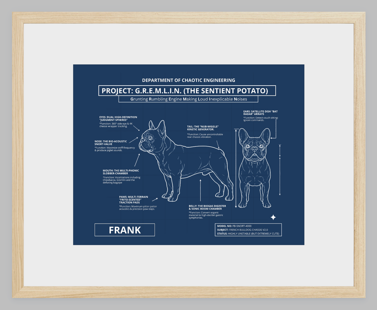 The Personalized Frenchie Blueprint
