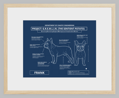 The Personalized Frenchie Blueprint
