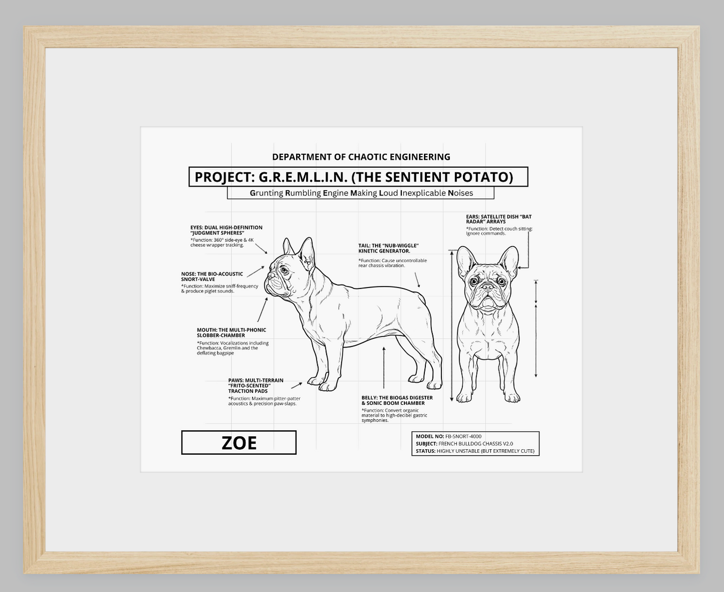 The Personalized Frenchie Blueprint