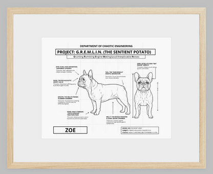 The Personalized Frenchie Blueprint