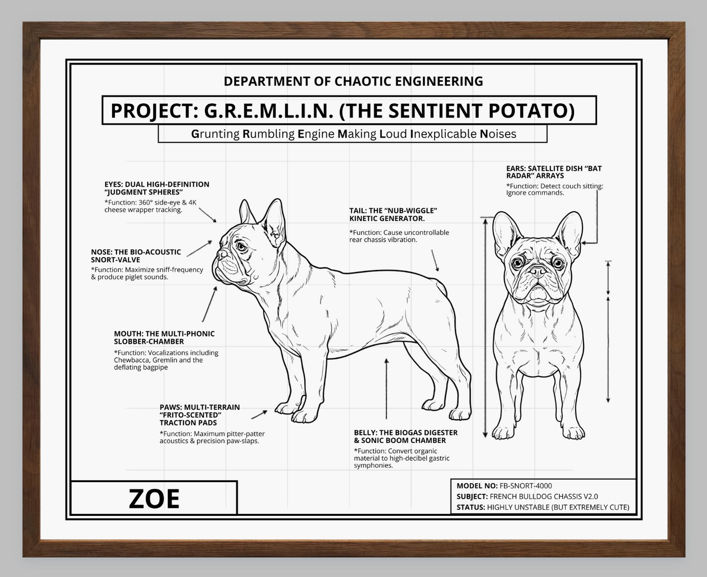 The Personalized Frenchie Blueprint