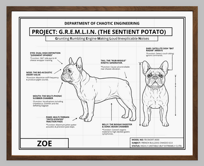 The Personalized Frenchie Blueprint