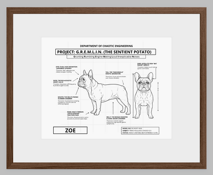 The Personalized Frenchie Blueprint