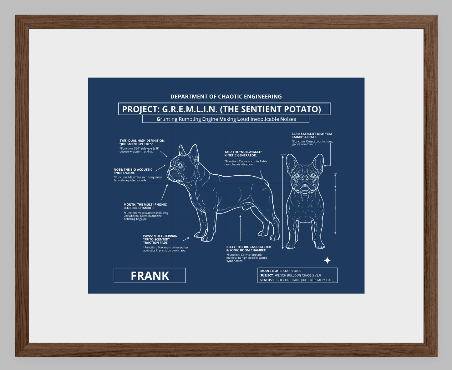 The Personalized Frenchie Blueprint