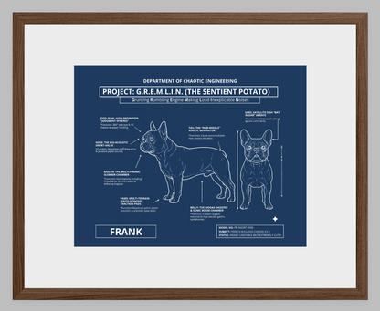 The Personalized Frenchie Blueprint