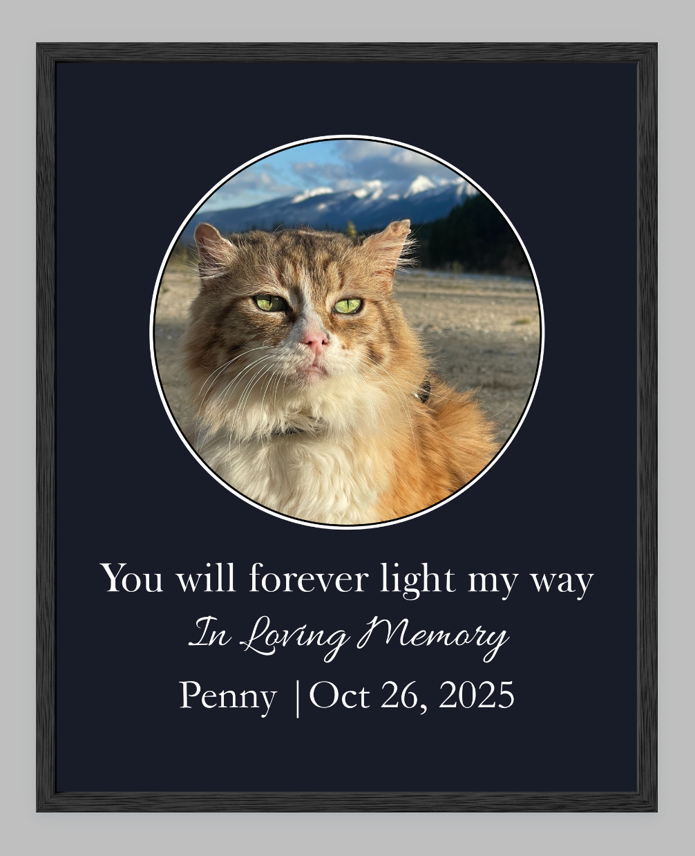 You Will Forever Light My Way Memorial Tribute
