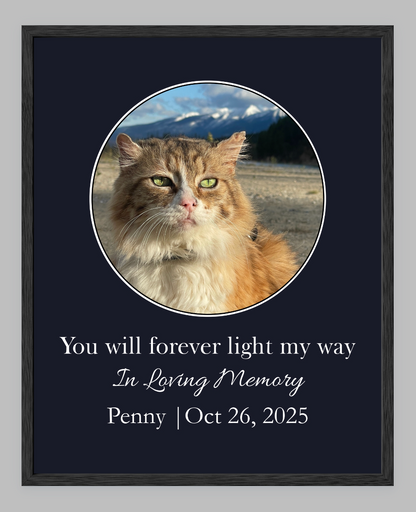 You Will Forever Light My Way Memorial Tribute