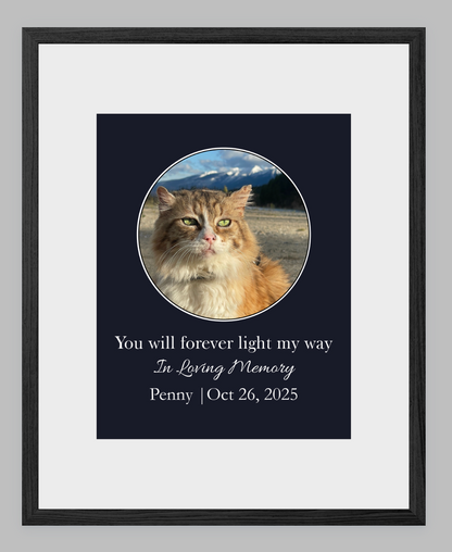 You Will Forever Light My Way Memorial Tribute