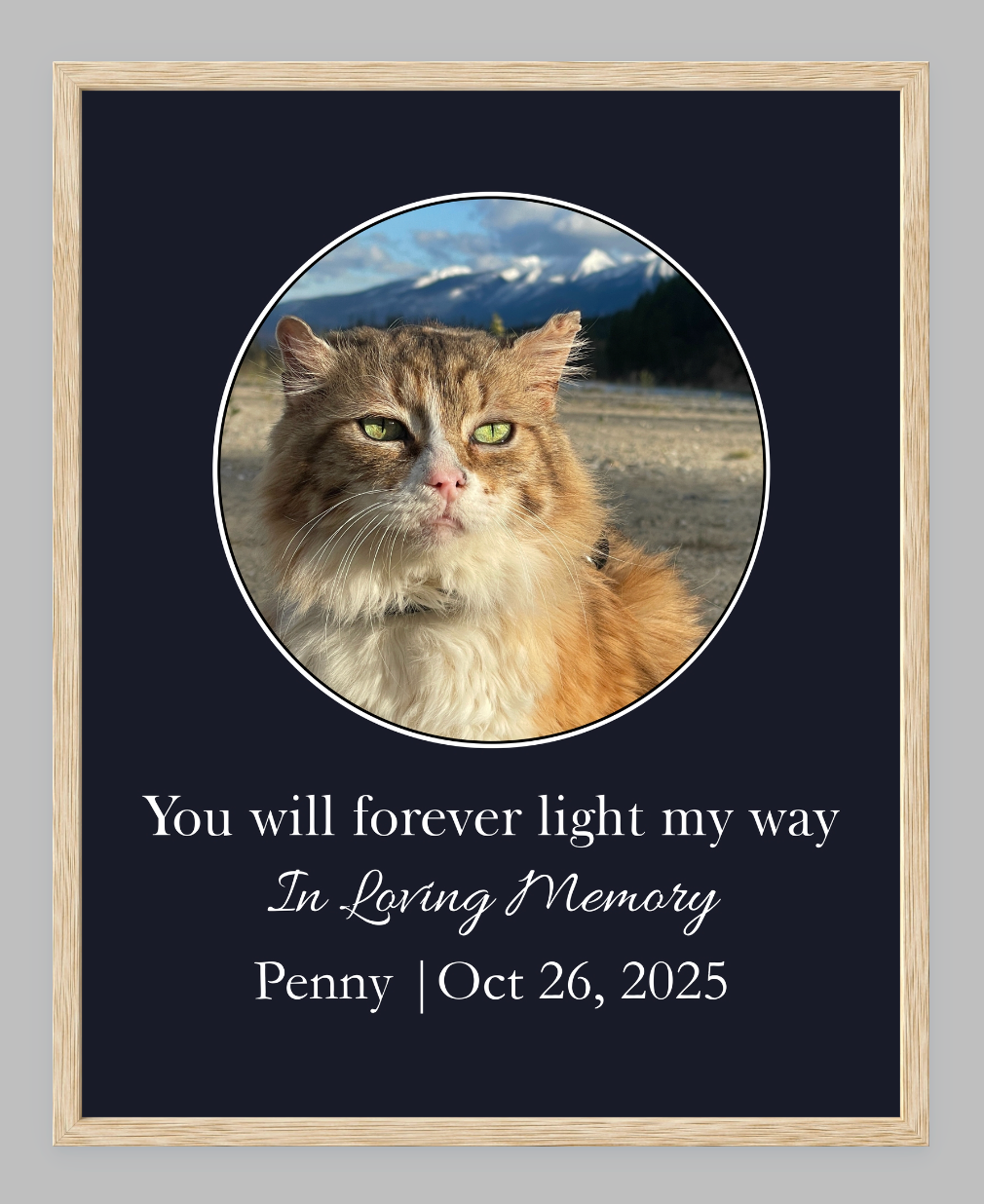 You Will Forever Light My Way Memorial Tribute