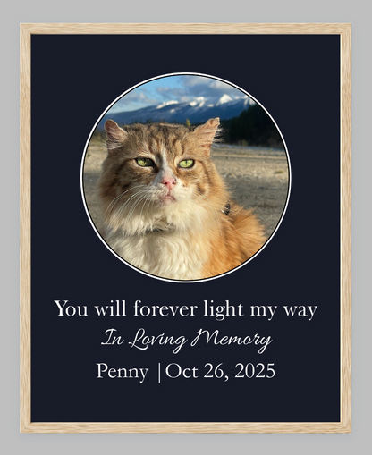 You Will Forever Light My Way Memorial Tribute