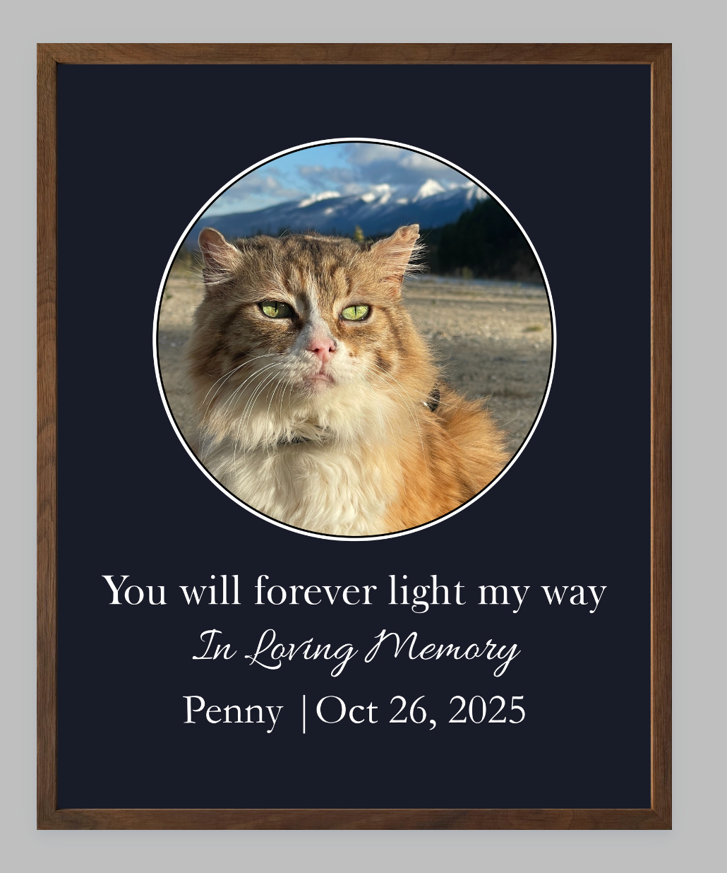 You Will Forever Light My Way Memorial Tribute