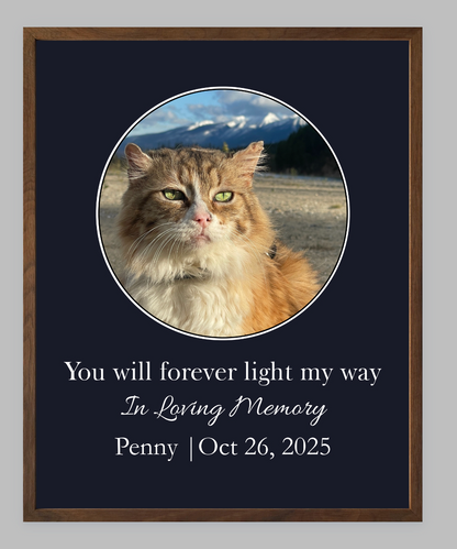 You Will Forever Light My Way Memorial Tribute