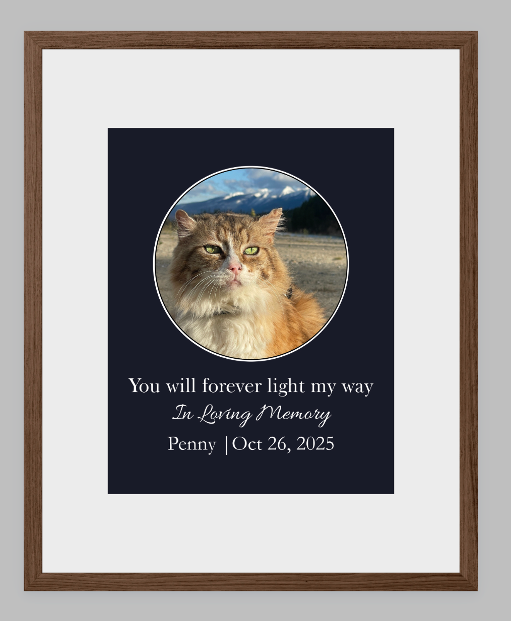 You Will Forever Light My Way Memorial Tribute