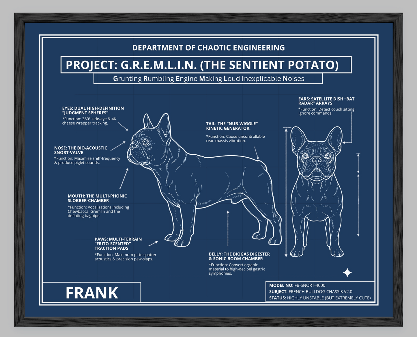 The Personalized Frenchie Blueprint