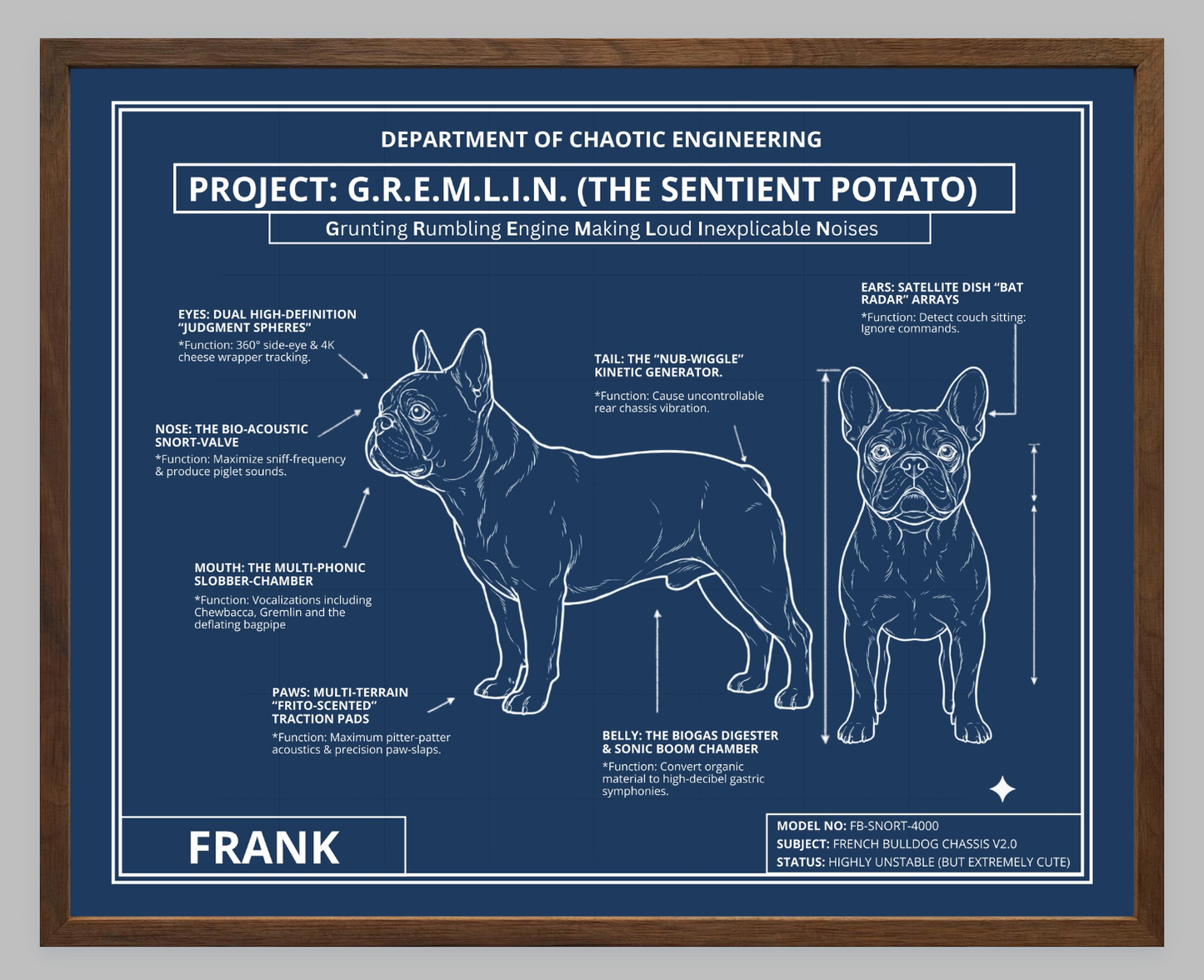 The Personalized Frenchie Blueprint