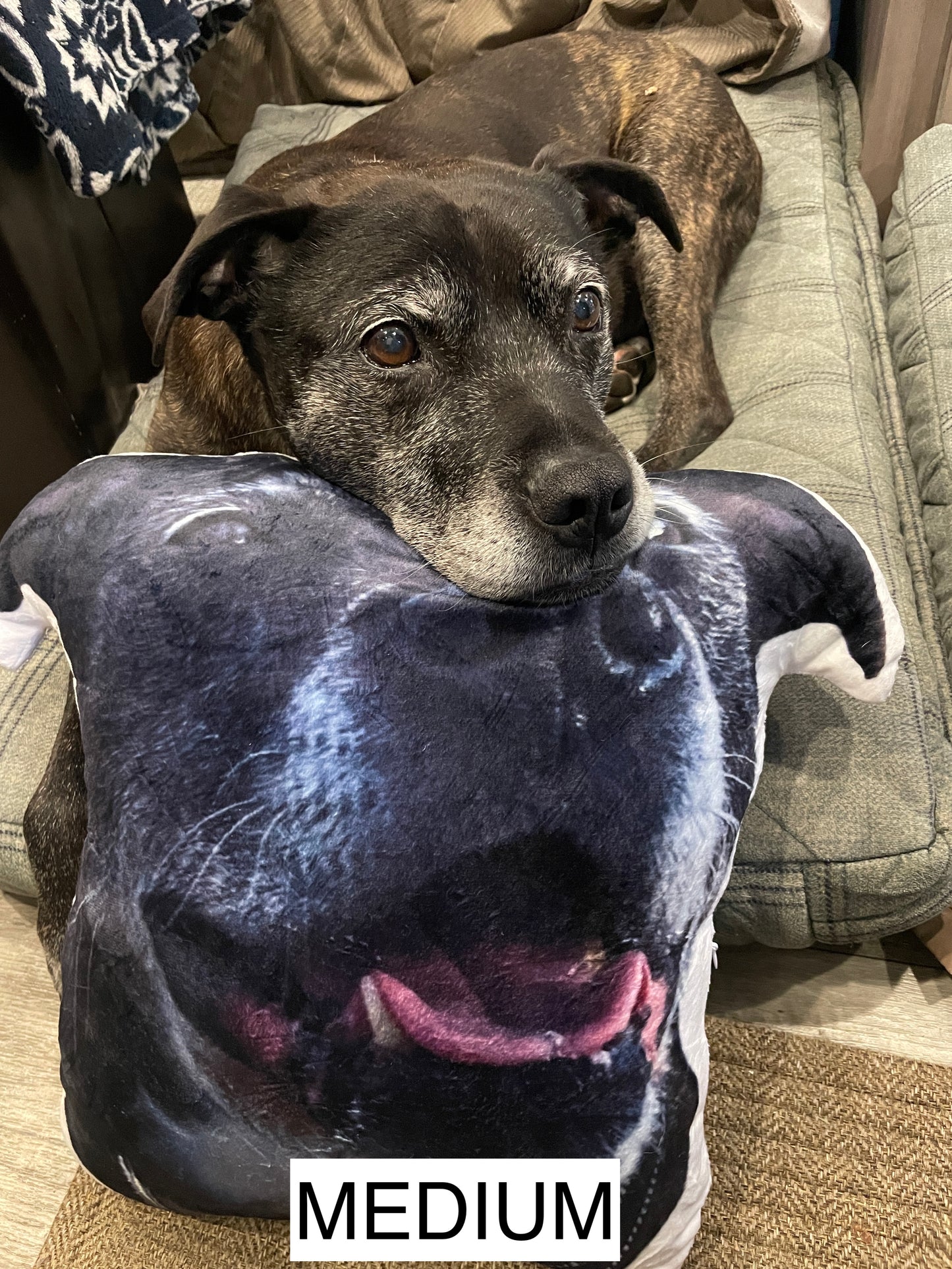 The Ultimate Snuggle Pillow