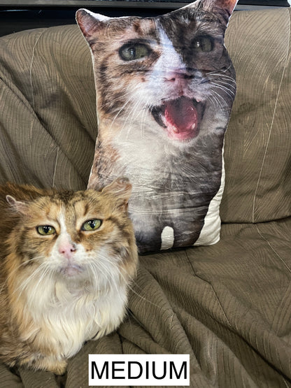 The Ultimate Snuggle Pillow