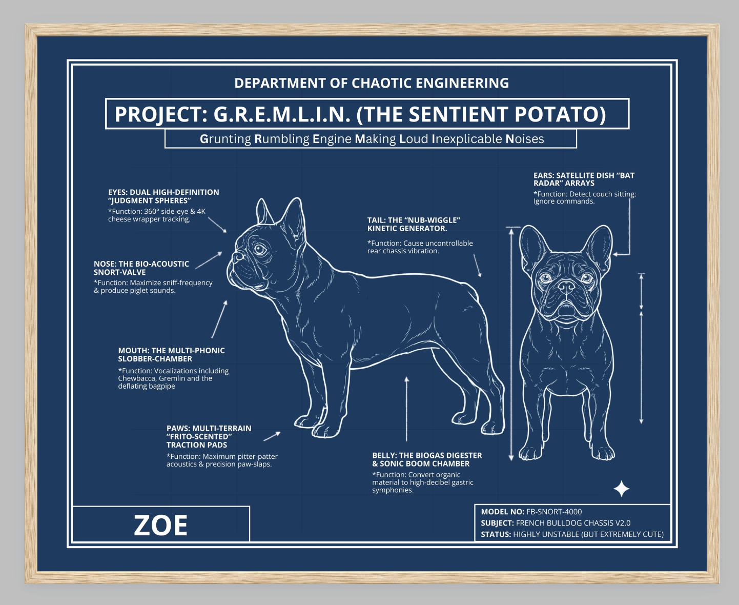 The Personalized Frenchie Blueprint
