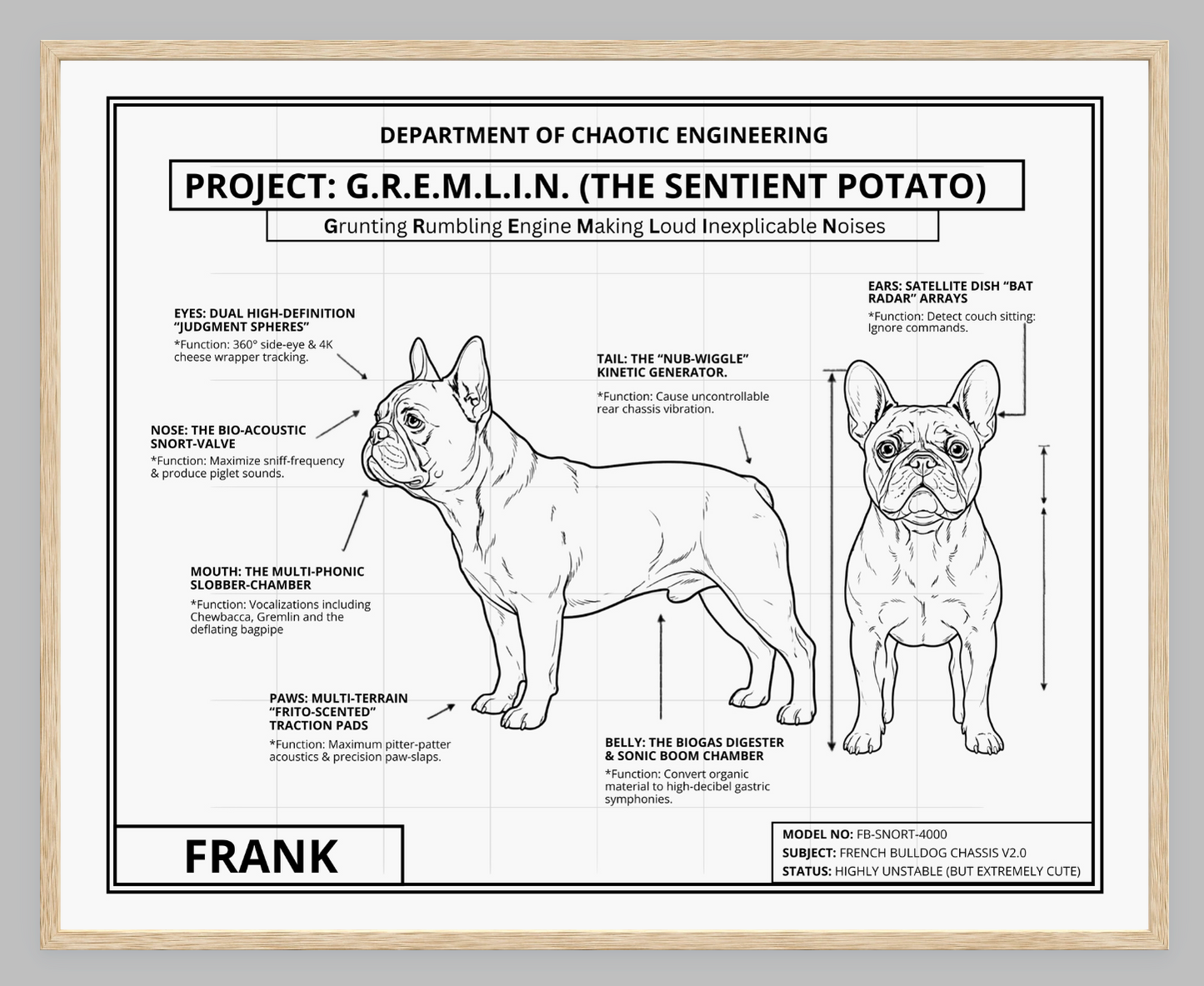 The Personalized Frenchie Blueprint