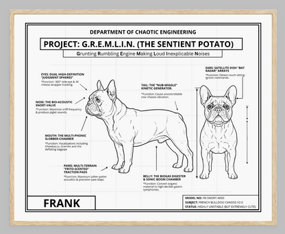 The Personalized Frenchie Blueprint