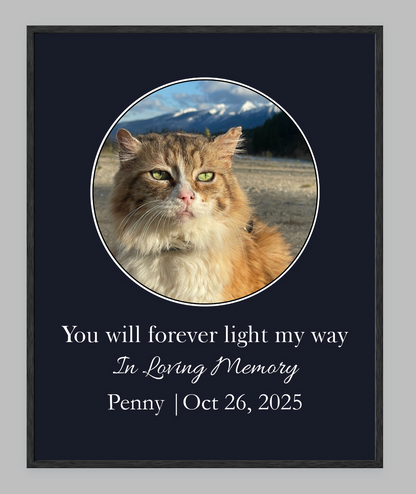 You Will Forever Light My Way Memorial Tribute
