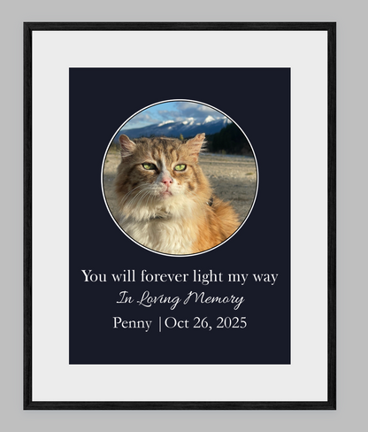 You Will Forever Light My Way Memorial Tribute