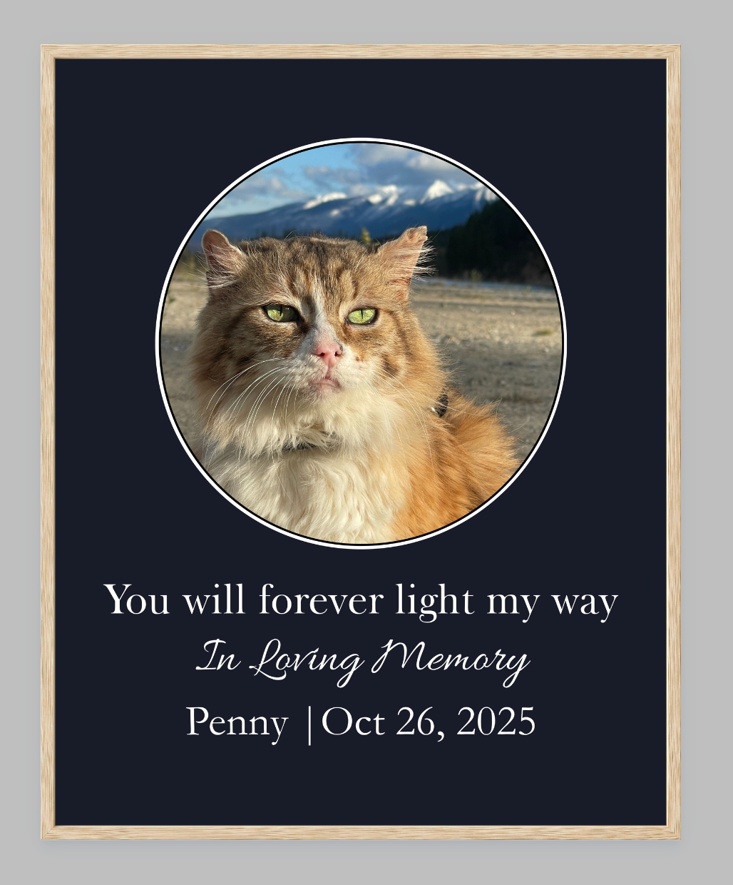 You Will Forever Light My Way Memorial Tribute