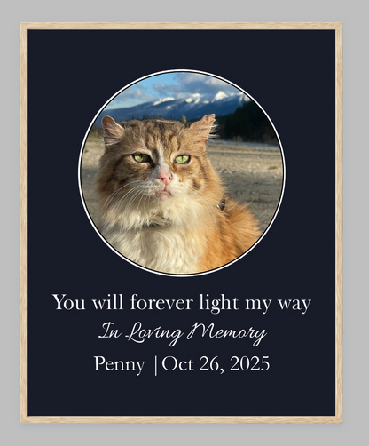 You Will Forever Light My Way Memorial Tribute