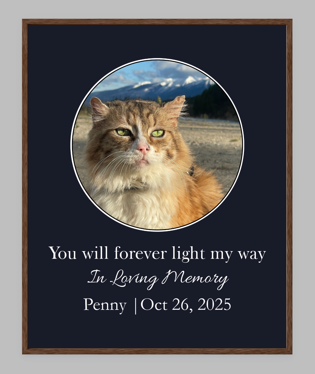 You Will Forever Light My Way Memorial Tribute