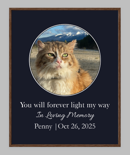 You Will Forever Light My Way Memorial Tribute