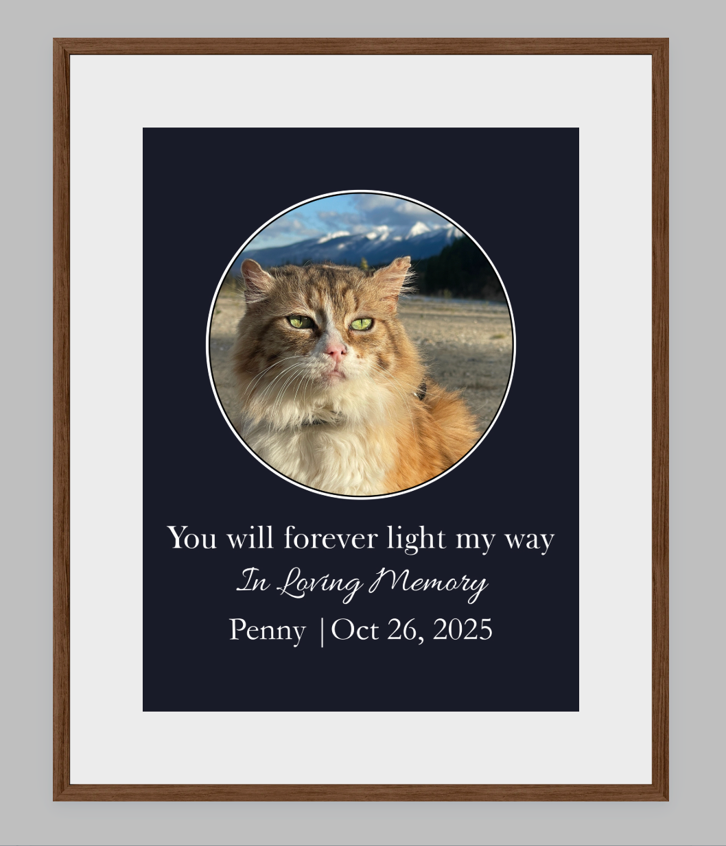 You Will Forever Light My Way Memorial Tribute