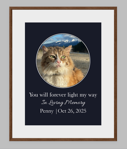 You Will Forever Light My Way Memorial Tribute