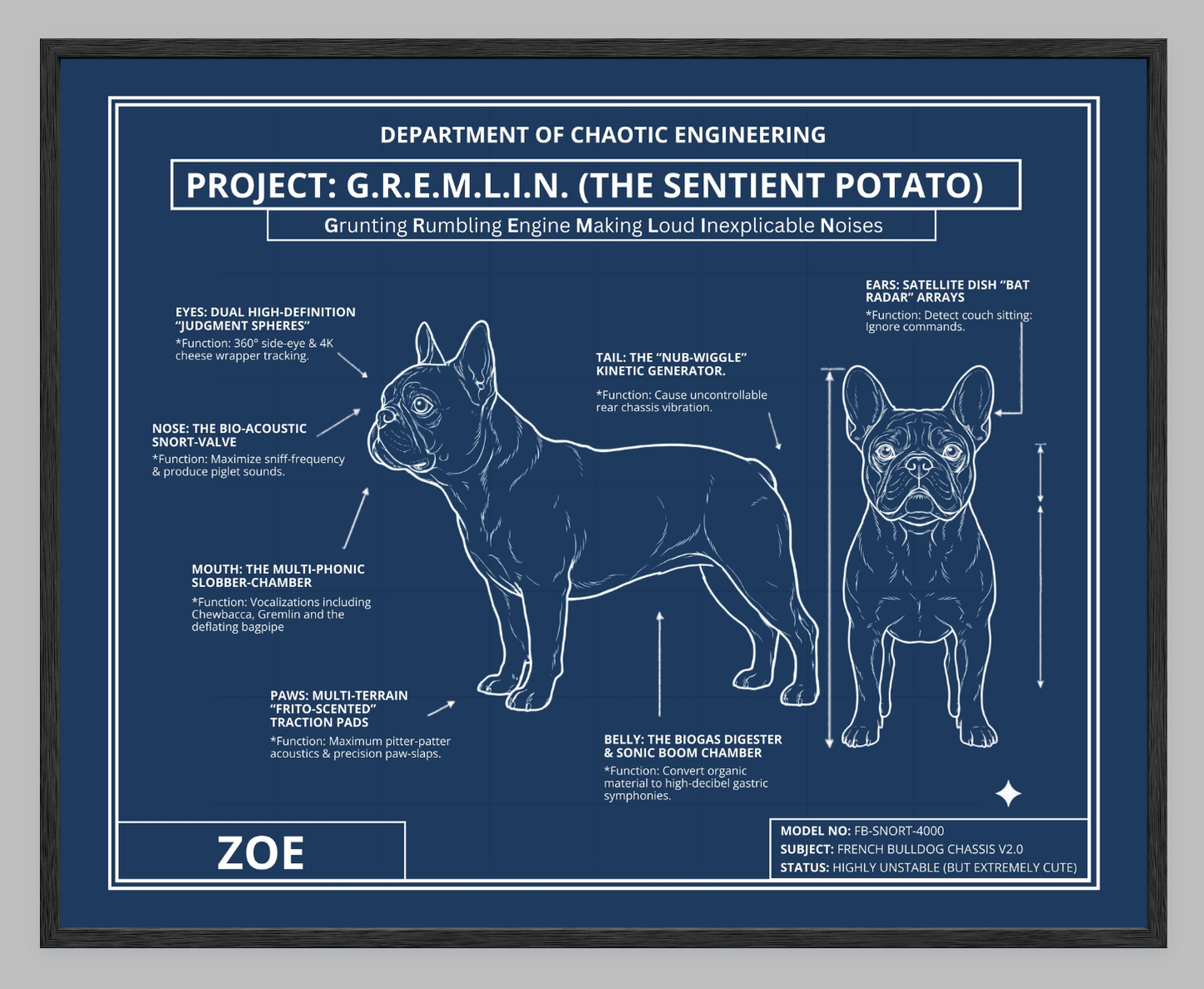 The Personalized Frenchie Blueprint