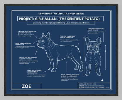 The Personalized Frenchie Blueprint