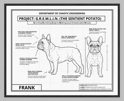 The Personalized Frenchie Blueprint