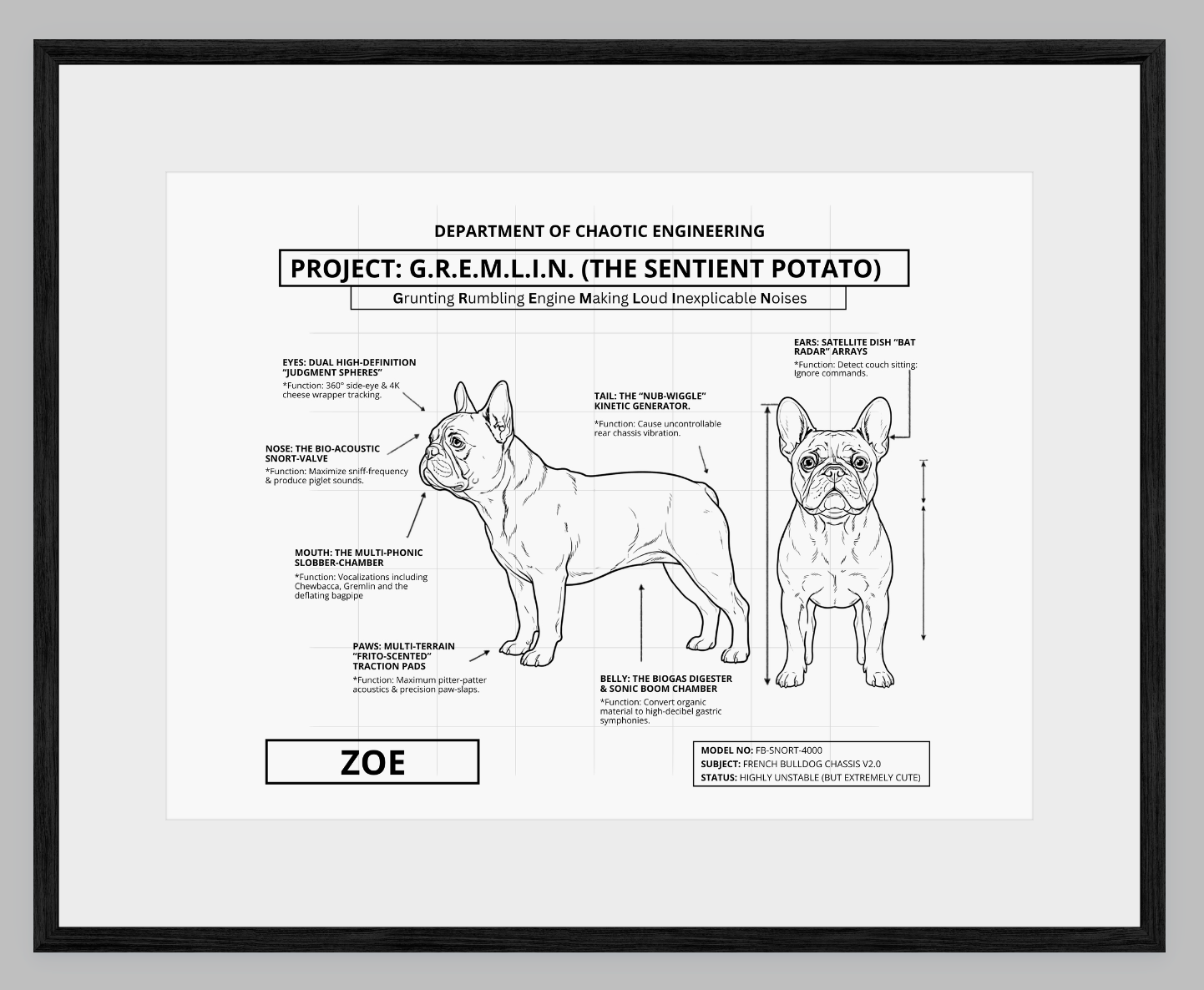 The Personalized Frenchie Blueprint
