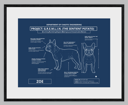 The Personalized Frenchie Blueprint